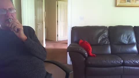 seakrait online show from 04/20/26, 12:52