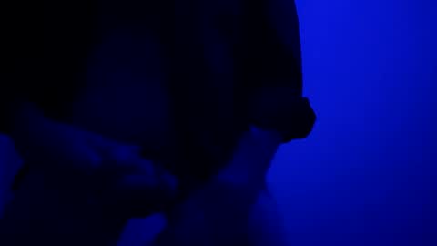 Snapshot of seanlydo chatting on 10/13/25, 05:40 SeanWadGodDamn online show from 10/13/25, 05:40