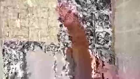 seb97400 online show from 02/22/26, 07:34