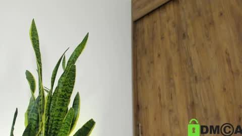 sebastian online show from 04/21/26, 02:51