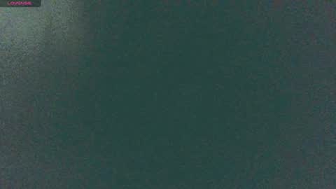 Snapshot of secret18slaveanon chatting on 12/14/24, 08:56 Sunny online show from 12/14/24, 08:56