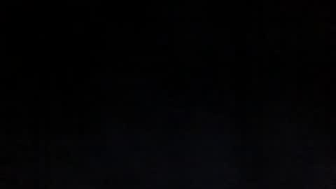 Sunny online show from 03/17/26, 12:59