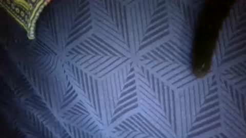 Sunny online show from 04/18/26, 07:58