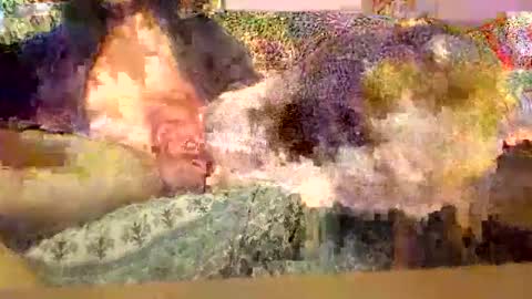 Dirty13 online show from 11/30/25, 07:07