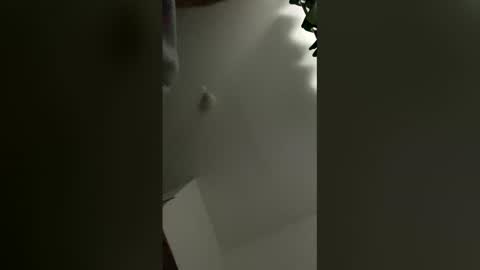 sedaliasens online show from 03/09/26, 07:45