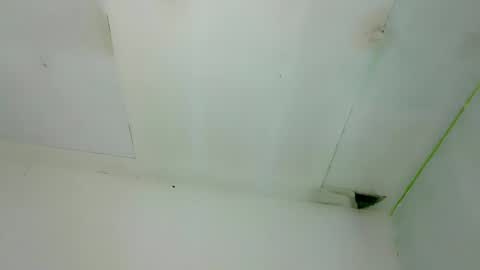 seducive_allea online show from 12/20/25, 07:04