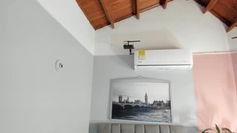 Selene online show from 01/17/26, 04:06