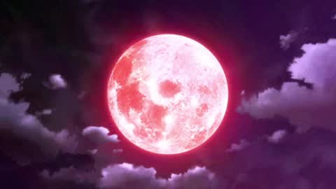 Selene G  online show from 04/08/26, 03:17