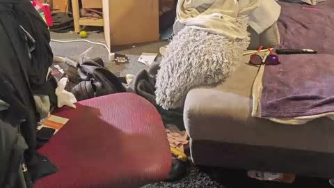 Snapshot of selfsuck_master69 chatting on 04/08/26, 07:08 BiG DicK online show from 04/08/26, 07:08