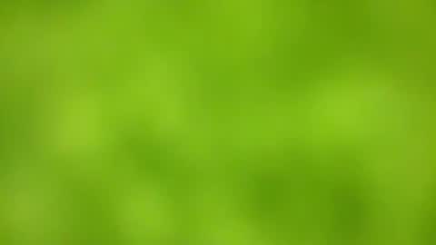 sens3439 online show from 11/24/25, 08:36