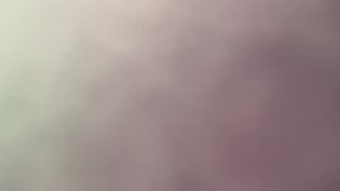 sens3439 online show from 02/10/26, 11:14