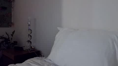 Cam online show from 11/29/25, 01:08