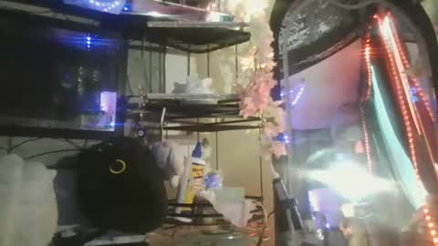 sequoia8888 online show from 10/29/25, 07:26