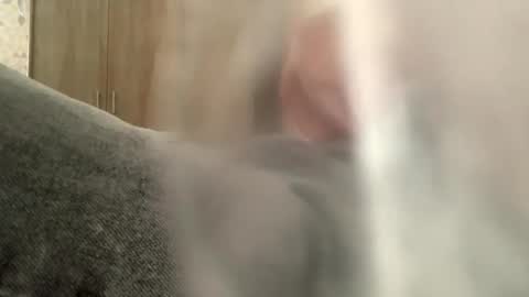 serpenttiin online show from 09/23/25, 07:55