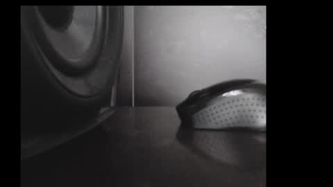 Daniel Taylor online show from 11/15/25, 12:23