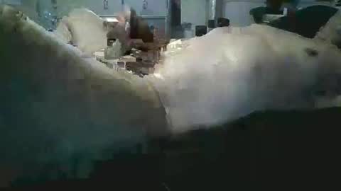 sexboy1437 online show from 11/24/25, 10:15