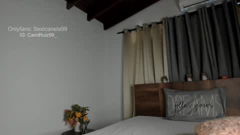 ... Camila ... online show from 01/28/25, 04:52