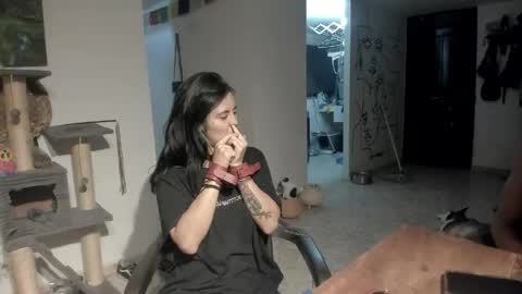         online show from 04/13/26, 03:45