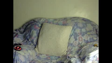 Natural boobs online show from 11/24/25, 08:36