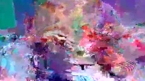 sexxycotton online show from 04/10/26, 07:24