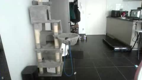 sexy53 online show from 02/17/26, 10:45