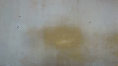 sexy_candy9 online show from 11/11/25, 09:53