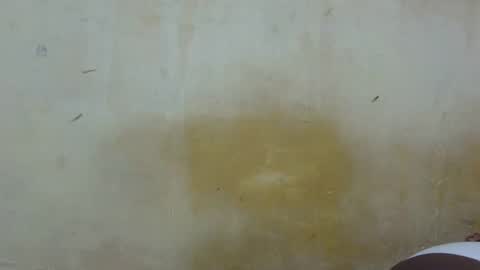 sexy_candy9 online show from 01/13/26, 07:30