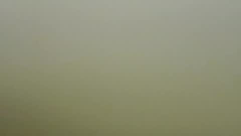 Snapshot of sexy_esther92 chatting on 01/19/26, 06:39 sexy_esther92 online show from 01/19/26, 06:39