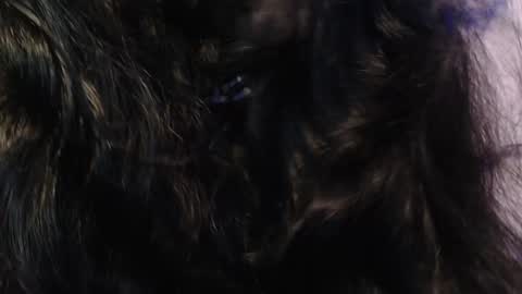 Snapshot of sexy_impact chatting on 01/15/25, 03:33    online show from 01/15/25, 03:33