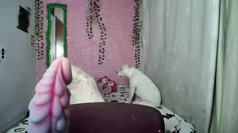 sexy lolas online show from 02/20/26, 02:19