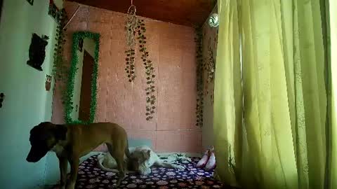 sexy lolas online show from 07/17/26, 08:46