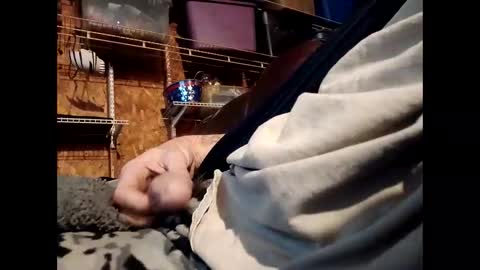    RICHY    online show from 11/01/25, 01:57