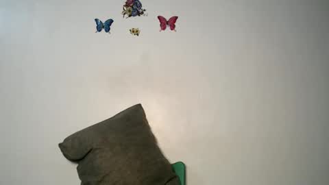 Luna online show from 11/22/25, 10:42