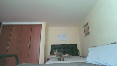 Snapshot of sexyaliceskay chatting on 07/27/26, 02:24 Alice Skay online show from 07/27/26, 02:24
