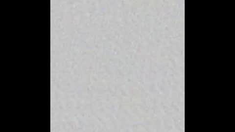 Party online show from 10/25/25, 09:31