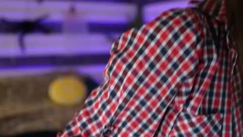 Celline online show from 11/16/25, 05:35