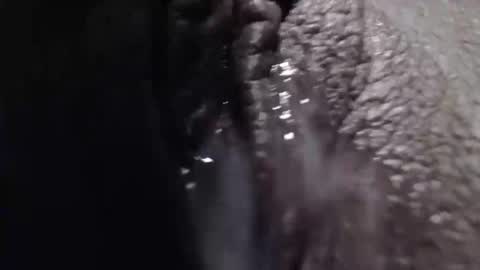 sexyjustin202 online show from 02/26/25, 01:53