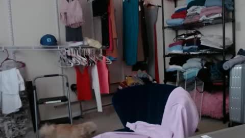 sexysulttakesit online show from 06/04/26, 02:23