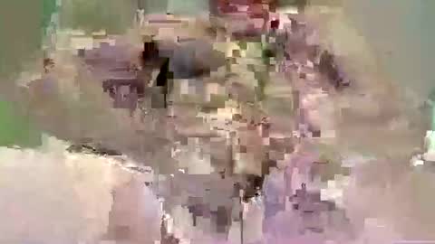 sfpleasure online show from 05/10/26, 11:43
