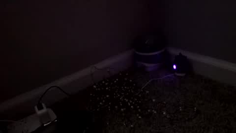 Snapshot of sgrbrnxxx chatting on 03/04/26, 03:18 Sugar Brown online show from 03/04/26, 03:18