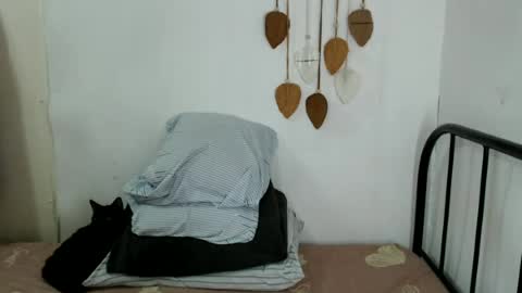 Snapshot of shanegreents chatting on 06/22/26, 04:31 bini aiah online show from 06/22/26, 04:31