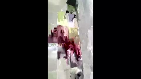 shanelle7 online show from 01/17/26, 12:10