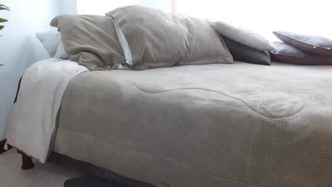 you shannon online show from 09/15/25, 05:35