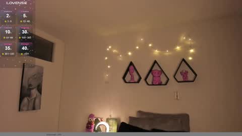   online show from 12/28/24, 08:26