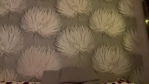 Alica online show from 01/11/26, 08:03