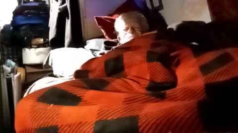 Snapshot of sharoc666 chatting on 12/04/24, 12:03 Shamroc online show from 12/04/24, 12:03