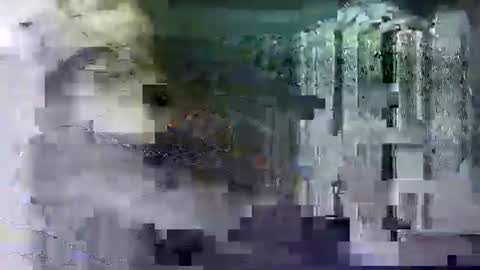 Shashee870242 online show from 02/14/25, 05:25