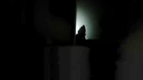 Snapshot of shaunhosking3 chatting on 12/20/25, 04:47 shaunhosking3 online show from 12/20/25, 04:47