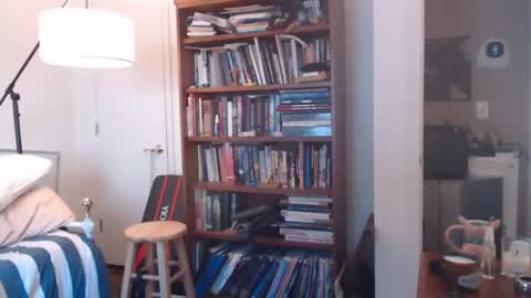 sheepishlion online show from 12/07/24, 01:51