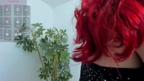 Shego  online show from 12/19/25, 12:50